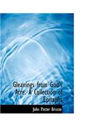 Gleanings from God's Acre