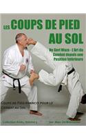 Les Coups de Pied au Sol
