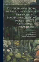 Deutschlands Flora in Abbildungen nach der Natur mit Beschreibungen von Jacob Sturm, III. Abtheilung, 4. Bändchen.