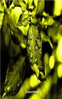 Journal