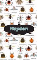 Hayden: Bug Insect Weekly Planer Book Notebook Journal Book 120 Pages 6x9