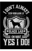 I Don't Always Stop and Look At Black Lab OH Wait, Yes I Do!