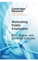 Motivating Public Employees