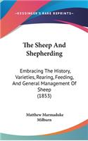 Sheep And Shepherding