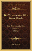 Die Verbreitetsten Pilze Deutschlands