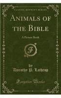 Animals of the Bible: A Picture Book (Classic Reprint)