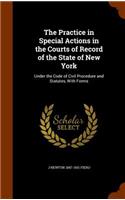 Practice in Special Actions in the Courts of Record of the State of New York