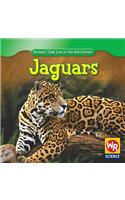 Jaguars