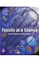 Fossils at a Glance