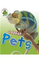 Oddest Pets