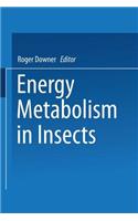 Energy Metabolism in Insects