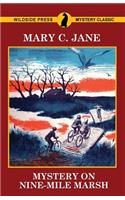 Mystery on Nine-Mile Marsh