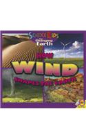 How Wind Shapes the Earth