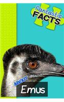 Fantastic Facts about Emus