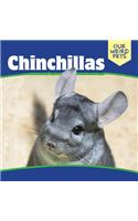 Chinchillas