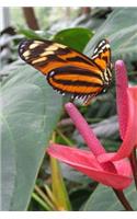 Mind Blowing Black And Orange Butterfly Journal