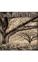 The Nature of Trees — Wall Calendar 2021