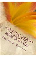 A Spiritual Journey of Collected Pieces of My Life: Inspiration, Resilience, Testimony, and Empowerment: Inspiration, Resilience, Testimony, and Empowerment