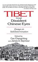 Tibet Through Dissident Chinese Eyes: Essays on Self-determination