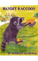 Bandit Raccoon