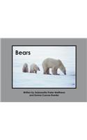 Bears