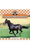 Thoroughbred Horses