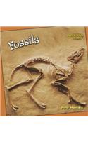 Fossils
