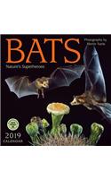 Bats 2019 Wall Calendar