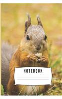 Notebook: Squirrel Gifts for Woman Blank Lined Notebook Journal & Planner - 6 x 9 inches, College Ruled Lined,110 Pages