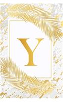 Y