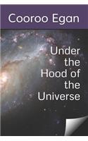 Under the Hood of the Universe