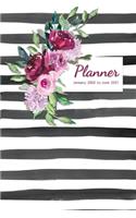 Planner - January 2020 to June 2021