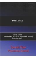Data Lake Aws & Azure Data Lake, Big Data Solutions & Security