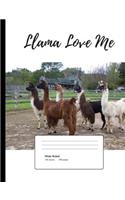 Llama Love Me Vol. 2