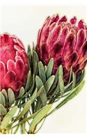 Protea Notebook