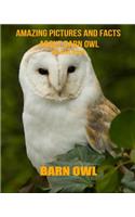 Barn Owl