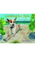 Looking for Tula