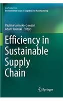 Efficiency in Sustainable Supply Chain