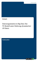 Datenorganisation in Big Data. Das 5V-Modell unter Einbezug dynamischer AV-Daten