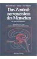Das Zentralnervensystem des Menschen