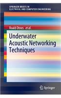 Underwater Acoustic Networking Techniques