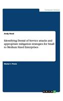 Identifying Denial of Service attacks and appropriate mitigation strategies for Small to Medium Sized Enterprises