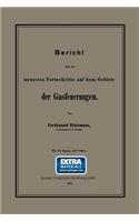 Bericht Über Die Neuesten Fortschritte Auf Dem Gebiete Der Gasfeuerungen