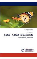 Eggs - A Start to Insect Life