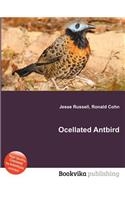 Ocellated Antbird