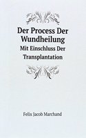 Der Process Der Wundheilung