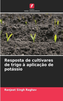 Resposta de cultivares de trigo à aplicação de potássio