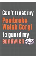 Can't trust my Pembroke Welsh Corgi to guard my sandwich: For Pembroke Welsh Corgi Dog Breed Fans