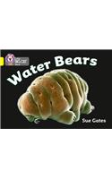 Water Bears