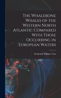 Whalebone Whales of the Western North Atlantic Compared With Those Occurring in European Waters